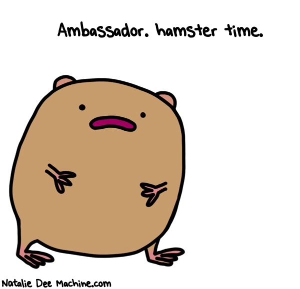 Natalie Dee random comic: Ambassador-hamster-time-100 * Text: Ambassador. hamster time.