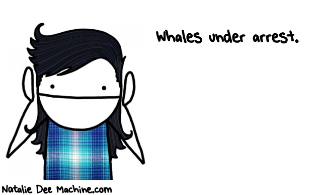 Natalie Dee random comic: WHALES-under-arrest-739 * Text: Whales under arrest.
