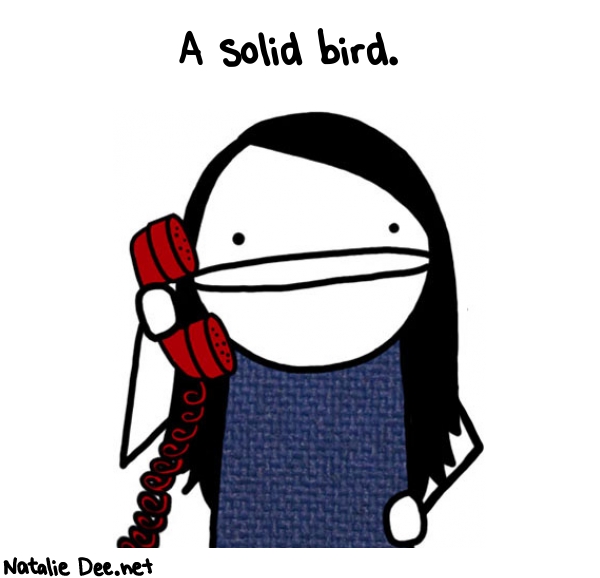 Natalie Dee random comic: a-solid-bird-369 * Text: A solid bird.
