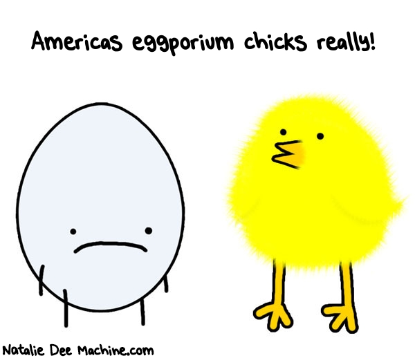 Natalie Dee random comic: americas-eggporium-chicks-really-394 * Text: Americas eggporium chicks really!