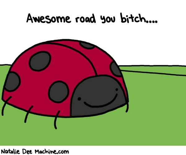 Natalie Dee random comic: awesome-road-you-bitch-678 * Text: Awesome road you bitch....