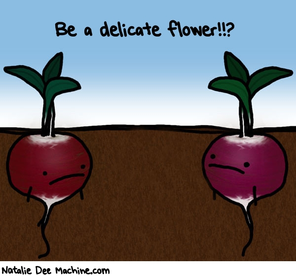 Natalie Dee random comic: be-a-delicate-flower-950 * Text: Be a delicate flower!!?