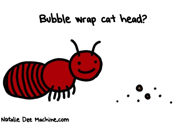 Natalie Dee random comic: bubble-wrap-cat-head-458 * Text: Bubble wrap cat head?