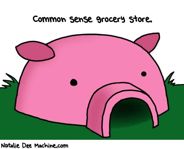 Natalie Dee random comic: common-sense-grocery-store-283 * Text: Common sense grocery store.