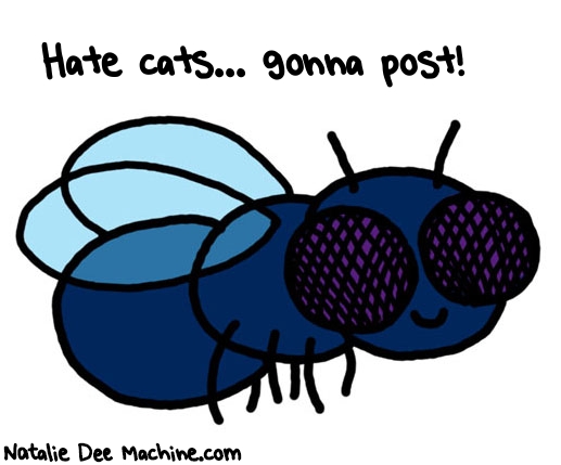 Natalie Dee random comic: hate-cats-gonna-post-576 * Text: Hate cats... gonna post!