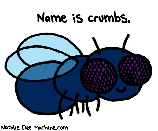 Natalie Dee random comic: name-is-crumbs-399 * Text: Name is crumbs.