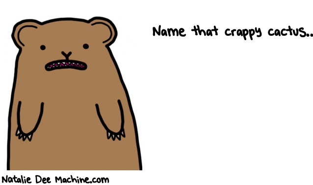 Natalie Dee random comic: name-that-crappy-cactus-835 * Text: Name that crappy cactus....
