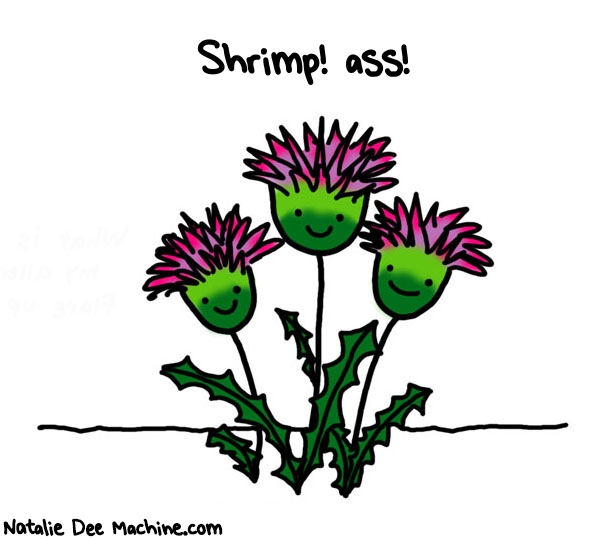 Natalie Dee random comic: shrimp-ass-920 * Text: Shrimp! ass!