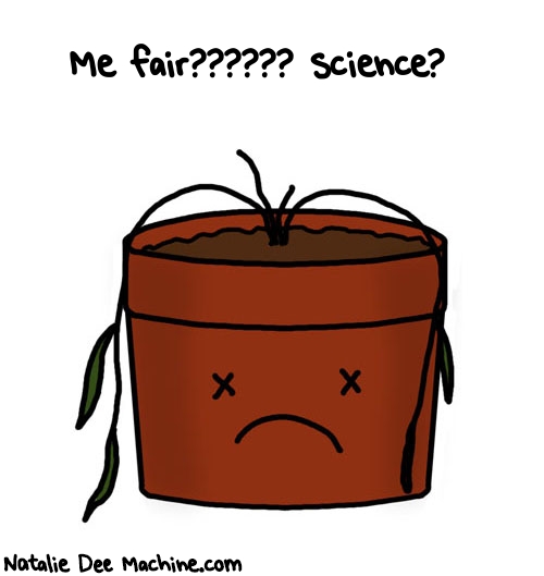 Natalie Dee random comic: me-fair-science-767 * Text: Me fair?????? science?