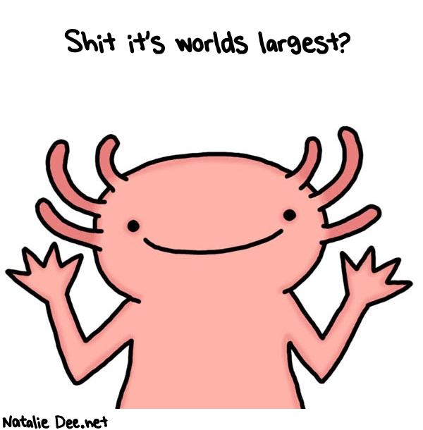 Natalie Dee random comic: shit-its-worlds-largest-546 * Text: Shit it's worlds largest?